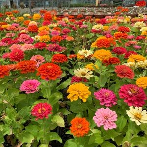 Meet your Posher, Sue